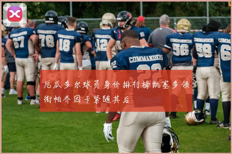 厄瓜多尔球员身价排行榜凯塞多领衔帕乔因卡紧随其后