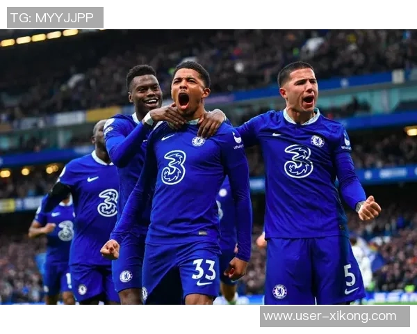 桑德兰主场领先利兹联扎卡助攻阿迪格拉精彩破门布罗比头球遗憾中楣