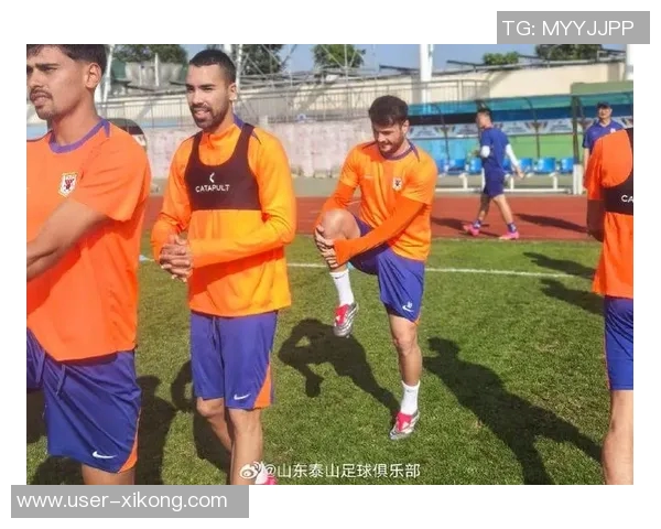 泰山外援预计16号后归队德尔加多将参加冬季训练营