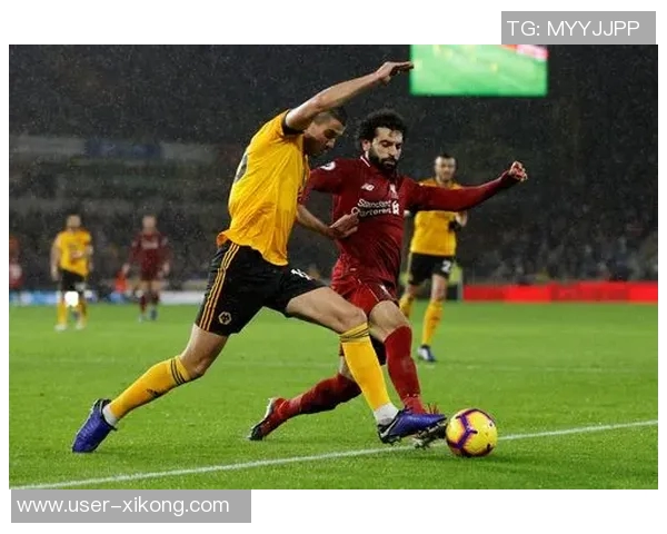 狼队主帅:与利物浦的较量将更加艰难我们已激怒对手 狼队主帅:与利物浦的较量将更加艰难我们已激怒对手